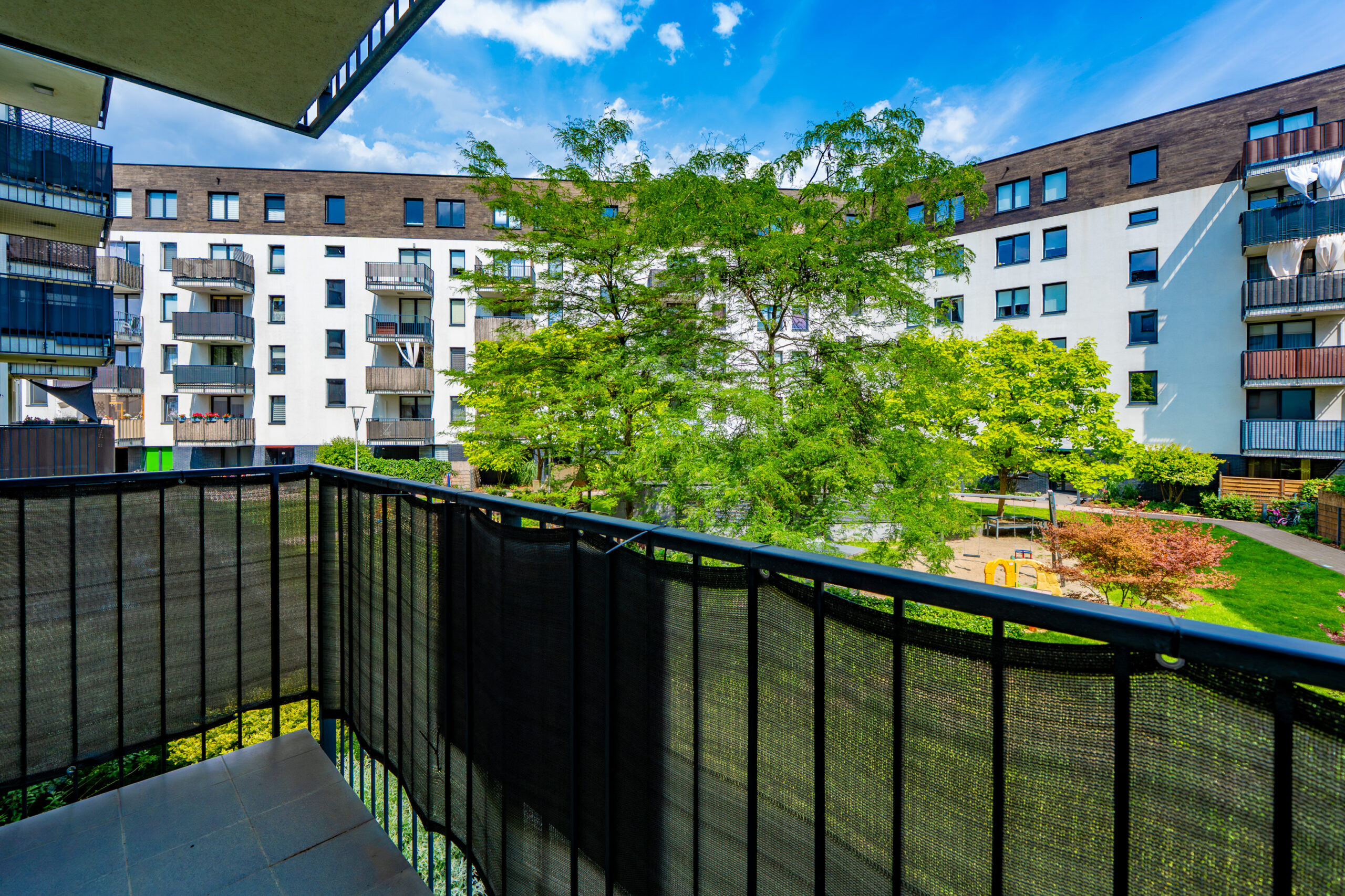 DSC00553-Enhanced-NR