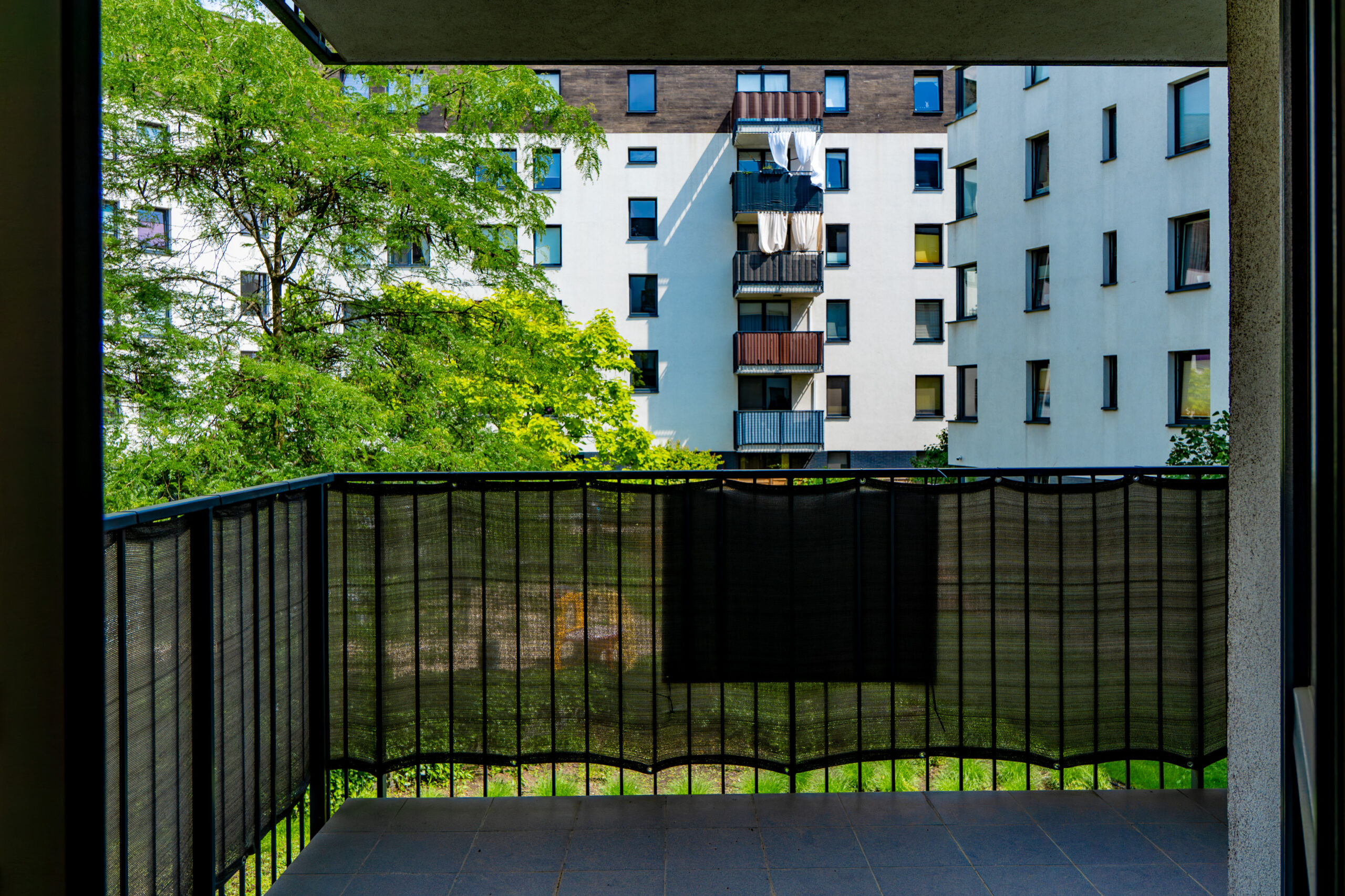 DSC00556-Enhanced-NR