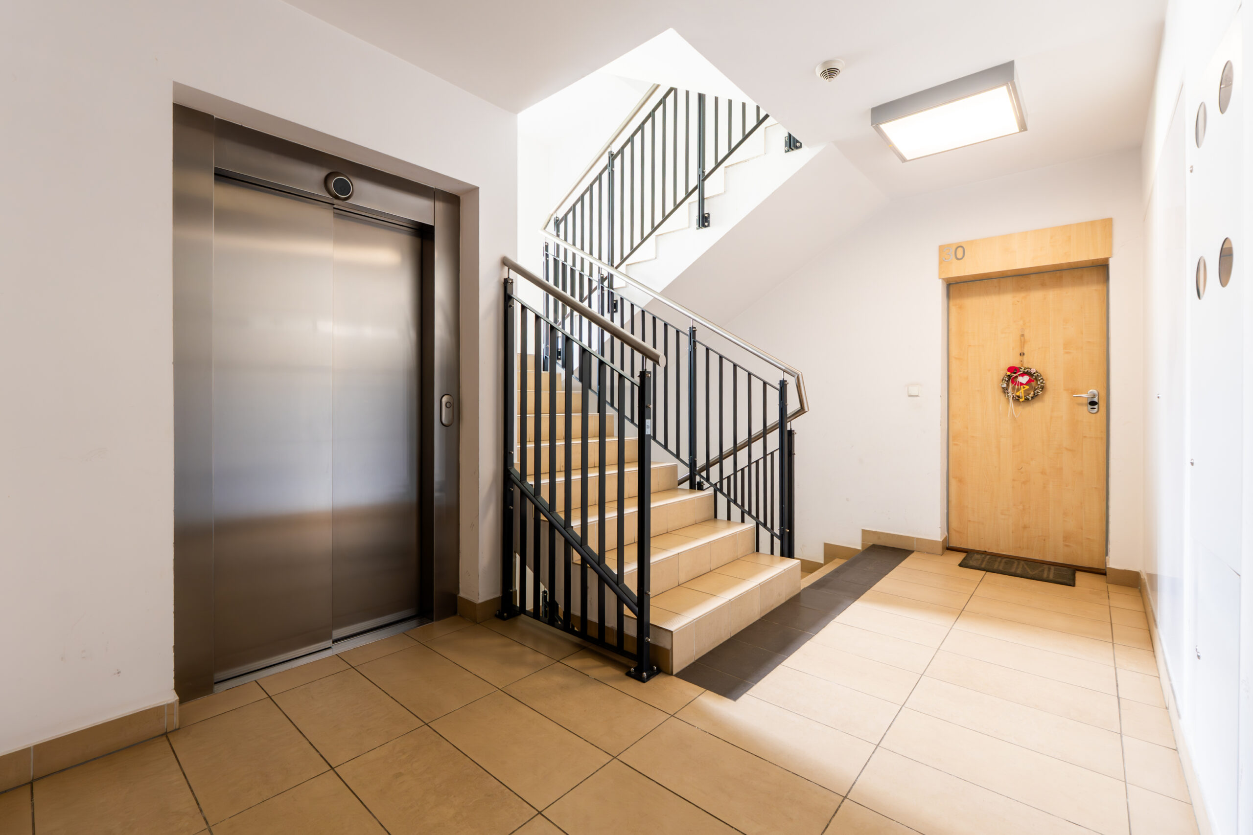 DSC00568-Enhanced-NR